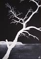 encre blanche_0008